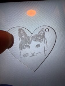 Katze